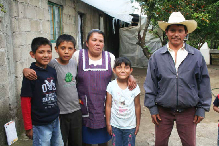 Renting an Apartment as an Illegal Immigrant in the U.S. Local