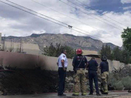 Bird interfering with a power line causes fire in Albuquerque