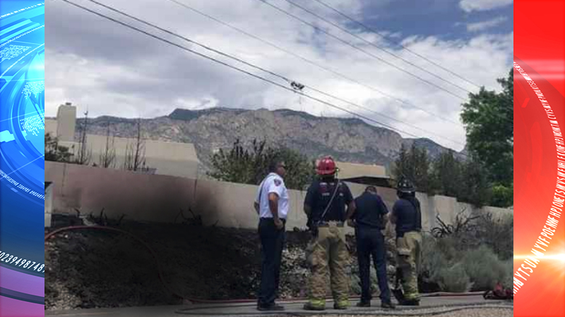 Bird interfering with a power line causes fire in Albuquerque
