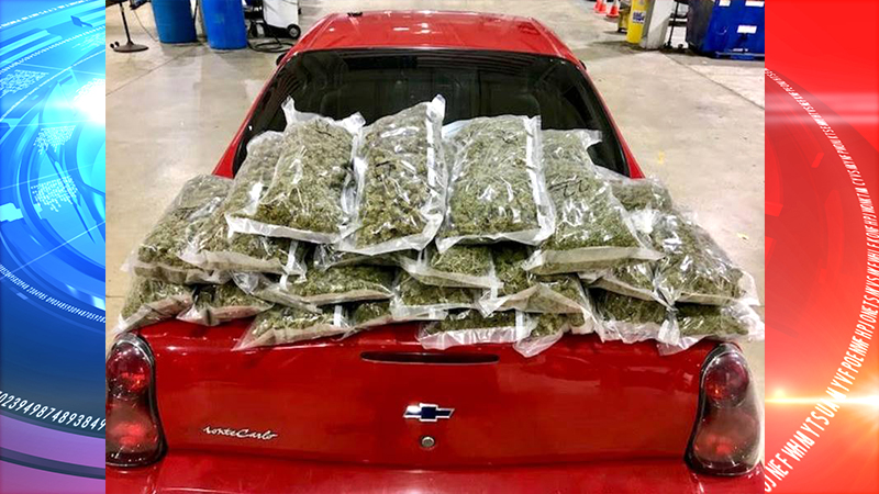 Police stop car for speeding and discover several pounds of marijuana worth over $46,000