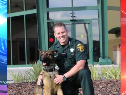 Lakeland Sheriff kills his own police K-9 after animal attacked officer