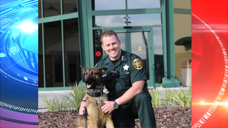 Lakeland Sheriff kills his own police K-9 after animal attacked officer