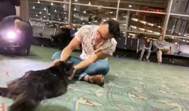 Cat runs away for 5-years and travels 1,200 miles (VIDEO)